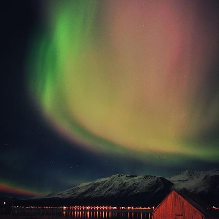 Lyngen Ski- Og Fiskecamp Lenangsoyra Exterior foto