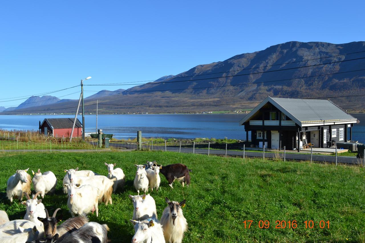 Lyngen Ski- Og Fiskecamp Lenangsoyra Exterior foto