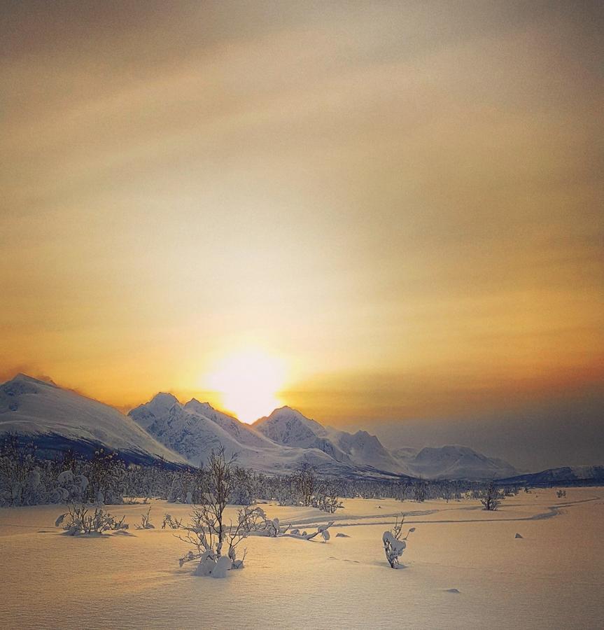 Lyngen Ski- Og Fiskecamp Lenangsoyra Exterior foto